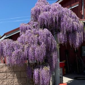 Meet your Posher, Creighton and Roseanne. Thanks again!